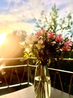 Milano Navigli Bocconi NABA-IULM-Olimpiadi-capienza 4 ospiti-SELF - Milán - 2