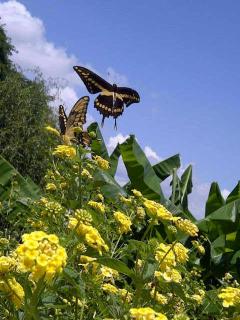 Portezuelo Hotel - 1