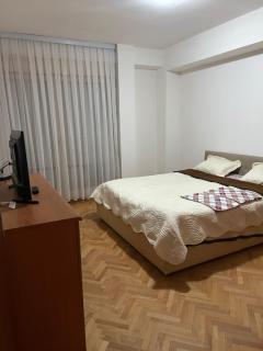 Skopjanka Apartment - 6