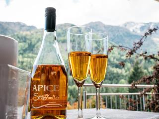 Apartment Haus Melita in Feistritz Ob Bleiburg by Interhome - 3