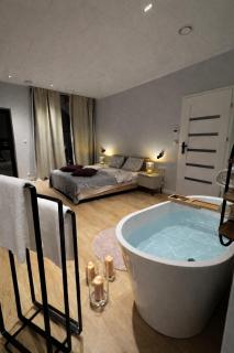 Willa nad Jeziorem Mikorzyńskim z Mariną - 9