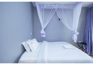 The VIP Luxury CBD - 8