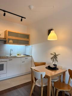 Fantasia apartmani - Tesla palace - 6