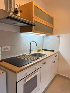 Fantasia apartmani - Tesla palace - 4