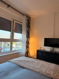 Fantasia apartmani - Tesla palace - 7