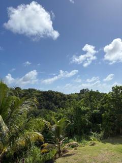 Apartment in Le Gosier - sea view - 8