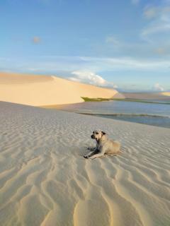 Área de Camping em Caetanos, Amontada - 1