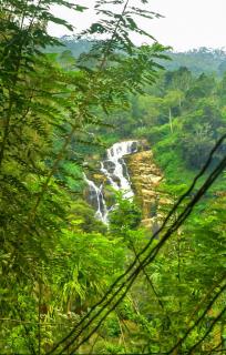 Dawn View Home Stay - 5