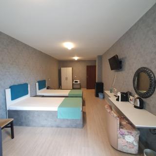 Lake View Deluxe Tryavna - 7