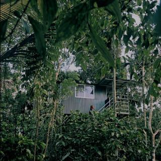 Nellar Dream Resort - 3