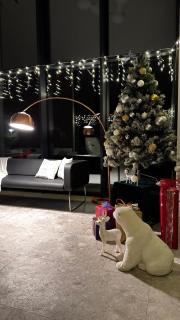 Willa nad Jeziorem Mikorzyńskim z Mariną - 8