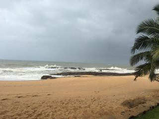 Magical garden apartment near hippest beach on the planet - 8