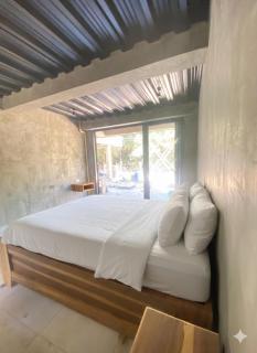 Palomino Sunrise - 2