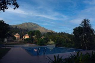 Banasura Cradle Premium Pool Resort - 3