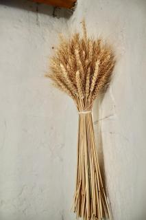 Kromrivier Farm Accommodation - 6