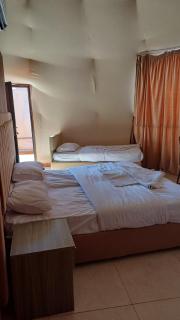 RUM iSLAND bubble LUXURU CAMP - 5