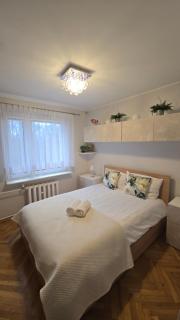 Słoneczy Apartament z Widokiem - 3