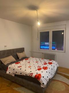 Apartman u Srcu Vranja - 4