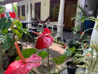 Bakery Family Guest House - 2