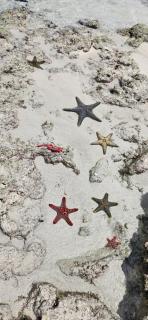 Stylish Penthouse with breathtaking oceanviews and private rooftop pool - 1