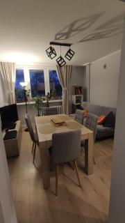 Cozy apartment in Poznań - 2