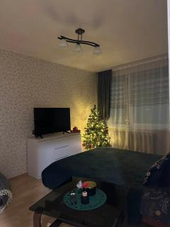 Vieno kambario apartamentai Telšiuose - 0