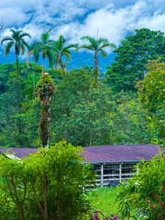 Selva Partners La Fortuna - 9