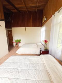 Selva Partners La Fortuna - 8