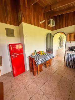 Selva Partners La Fortuna - 1