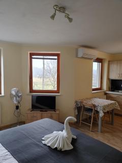 Studio Maki - Bled - 3