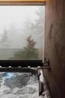 Refugio Nevado - Apartamento SPA & Jacuzzi - 8