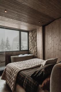 Refugio Nevado - Apartamento SPA & Jacuzzi - 6