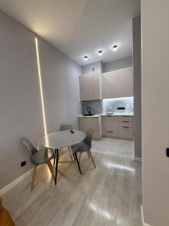 Asylym Park Apartment near Botanical Garden - 7