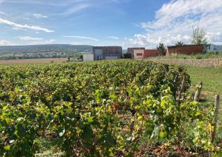 L'Atelier du Champ Ladoit - Mercurey - 6