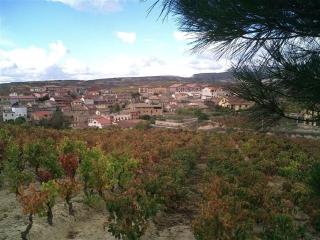 Casa Rural Baigorrietxea - Villabuena de Álava - 5