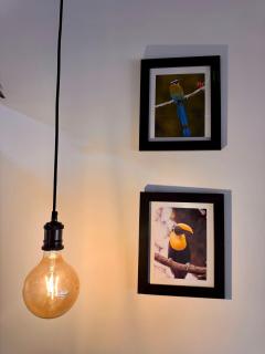 Cercano al Aeropuerto y nuevo - 8