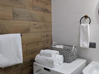 Royal Kamianets Apartment , центр Старого міста , 100м до Ратуші , вид на сквер та історичний центр - 1