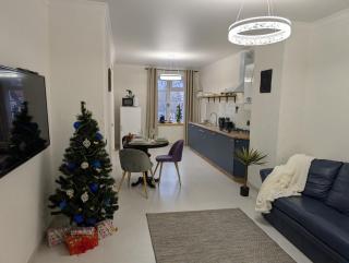 Royal Kamianets Apartment , центр Старого міста , 100м до Ратуші , вид на сквер та історичний центр - 2