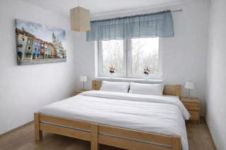 Dom Tobie bliski APARTAMENT W PARKU WARTA PRYWATNA KUCHNIA LAZIENKA PARKING - 7