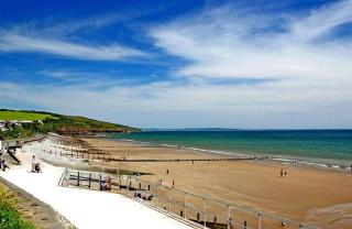 1 Bed in Stepaside oc-pw9268 - 1