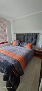 Hermoso departamento nuevo en Pucon equipado con 3 dormitorios wifi y estacionamiento privado a 5 minutos del centro y lago - Pucón - 9