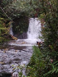 Cabaña colonia río sur - 3