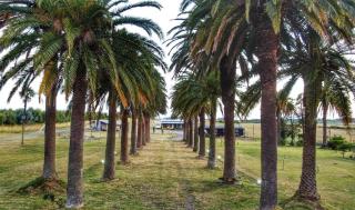 Entre Palmeras y Lavandas - 0