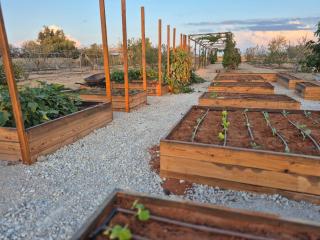 צימר לב הבוסתן - 8