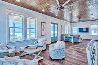 Gray Whale - Destin - 4