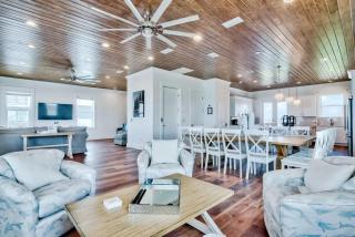 Gray Whale - Destin - 5