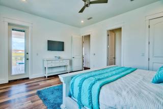 Gray Whale - Destin - 1