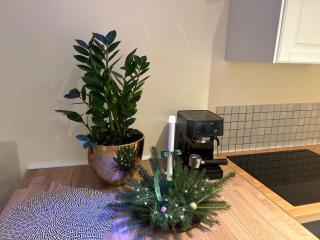 Apartamenty Stokrotka - 9