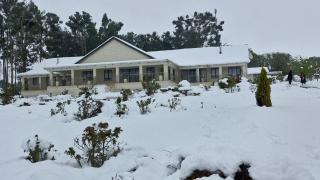 Garden's Paradise - 1