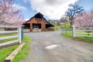 30-Acre Witter Springs Ranch with Barn and Views! - 9